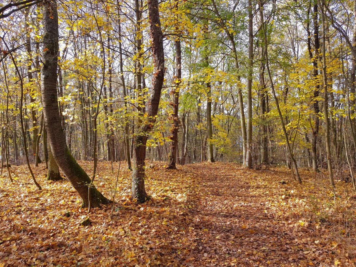 Gemuetliche Ferienwohnung Am Ortsrand Kreuzwertheim Extérieur photo