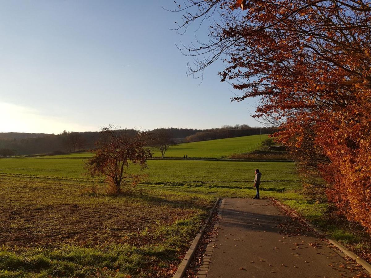 Gemuetliche Ferienwohnung Am Ortsrand Kreuzwertheim Extérieur photo